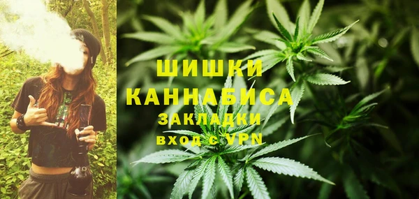 2c-b Вяземский